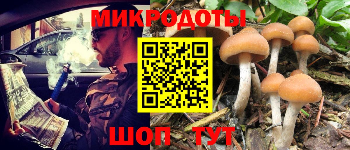 Галлюциногенные грибы Psilocybe  Вход с VPN  Краснодар 