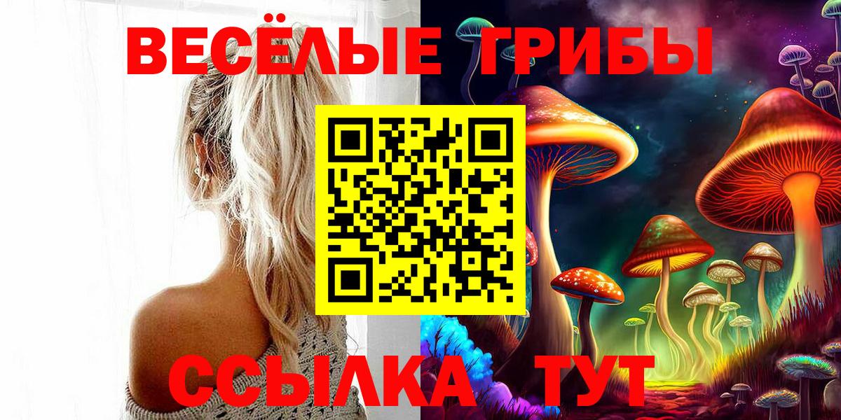 Псилоцибиновые грибы мухоморы Краснодар